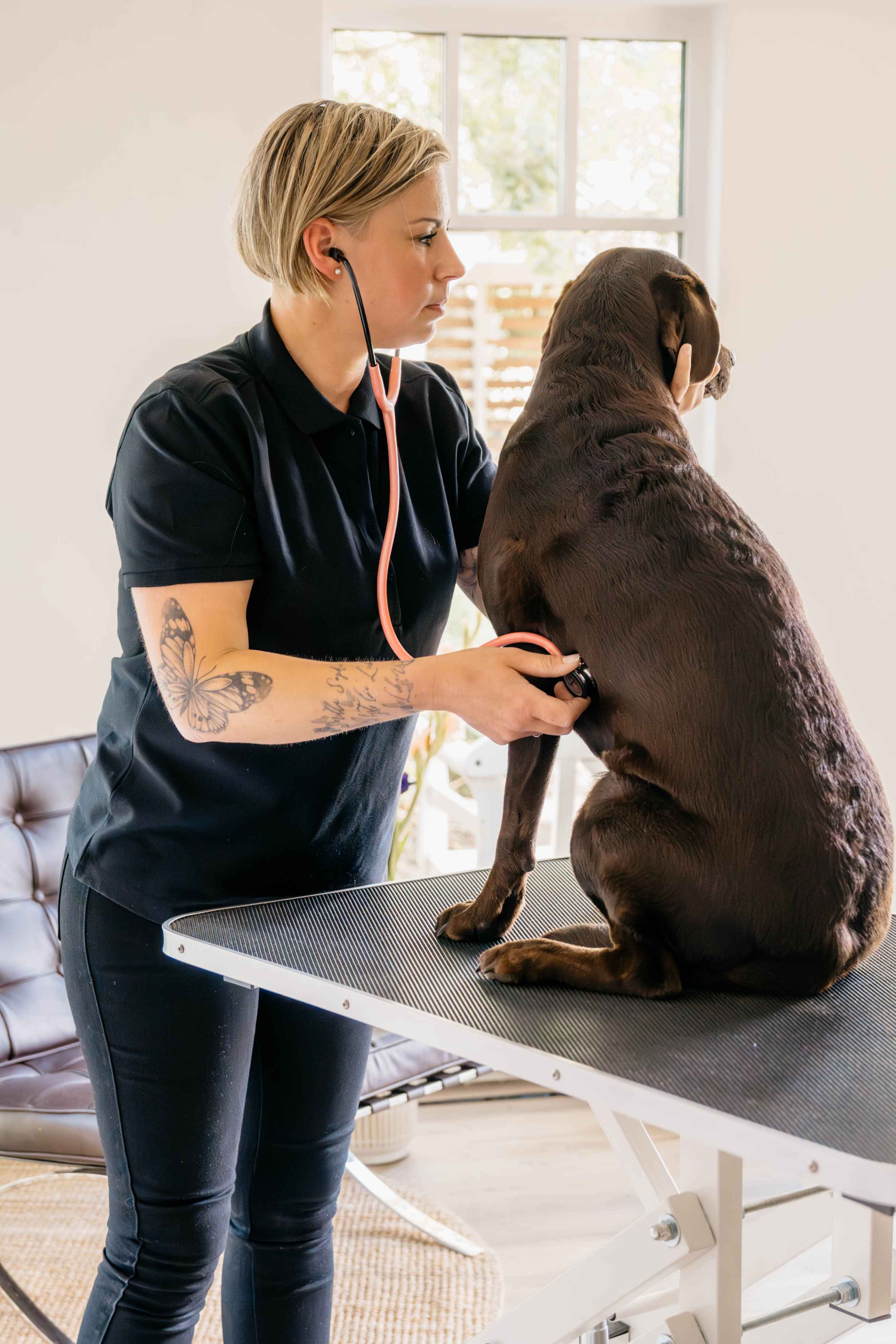 Diagnostik — Untersuchung mit Stethoskop