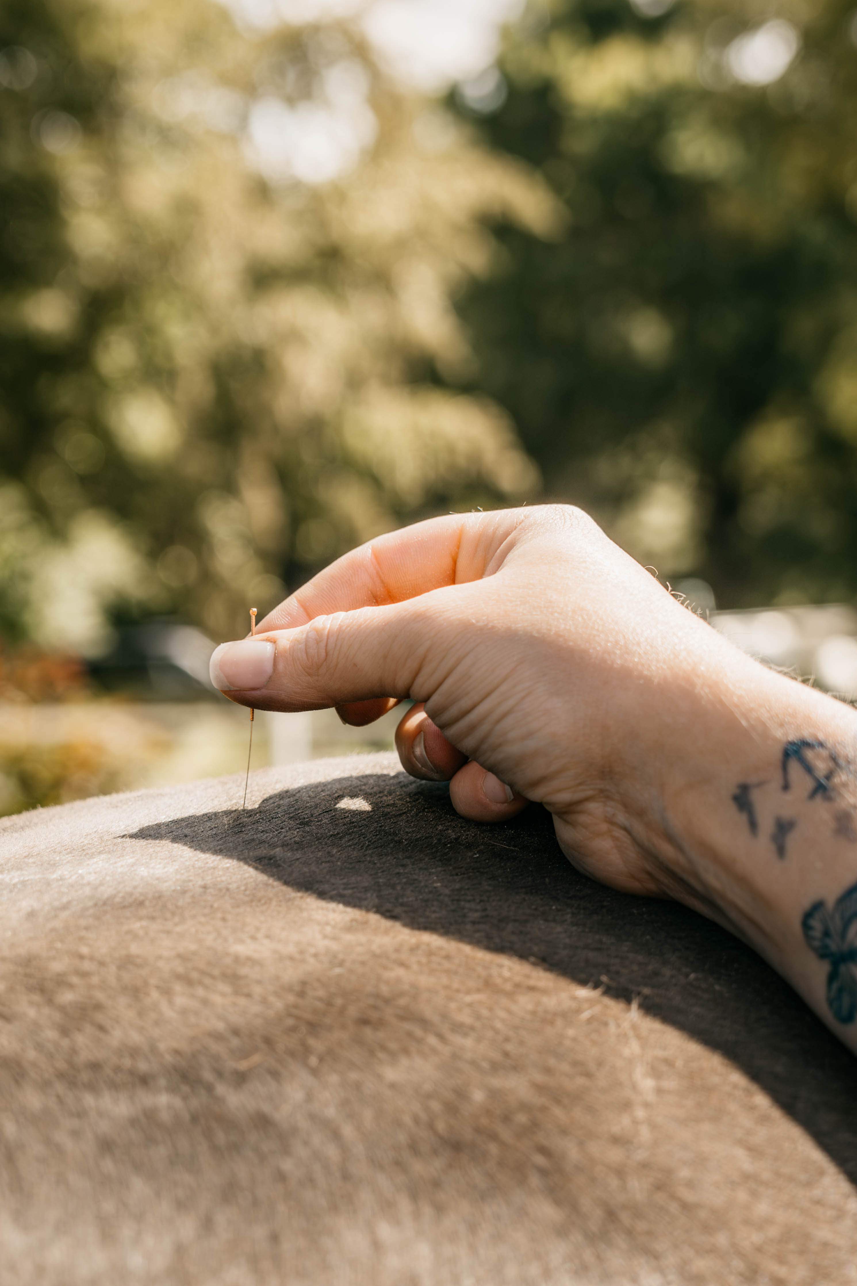 Akupunktur — Behandlung am Pferd