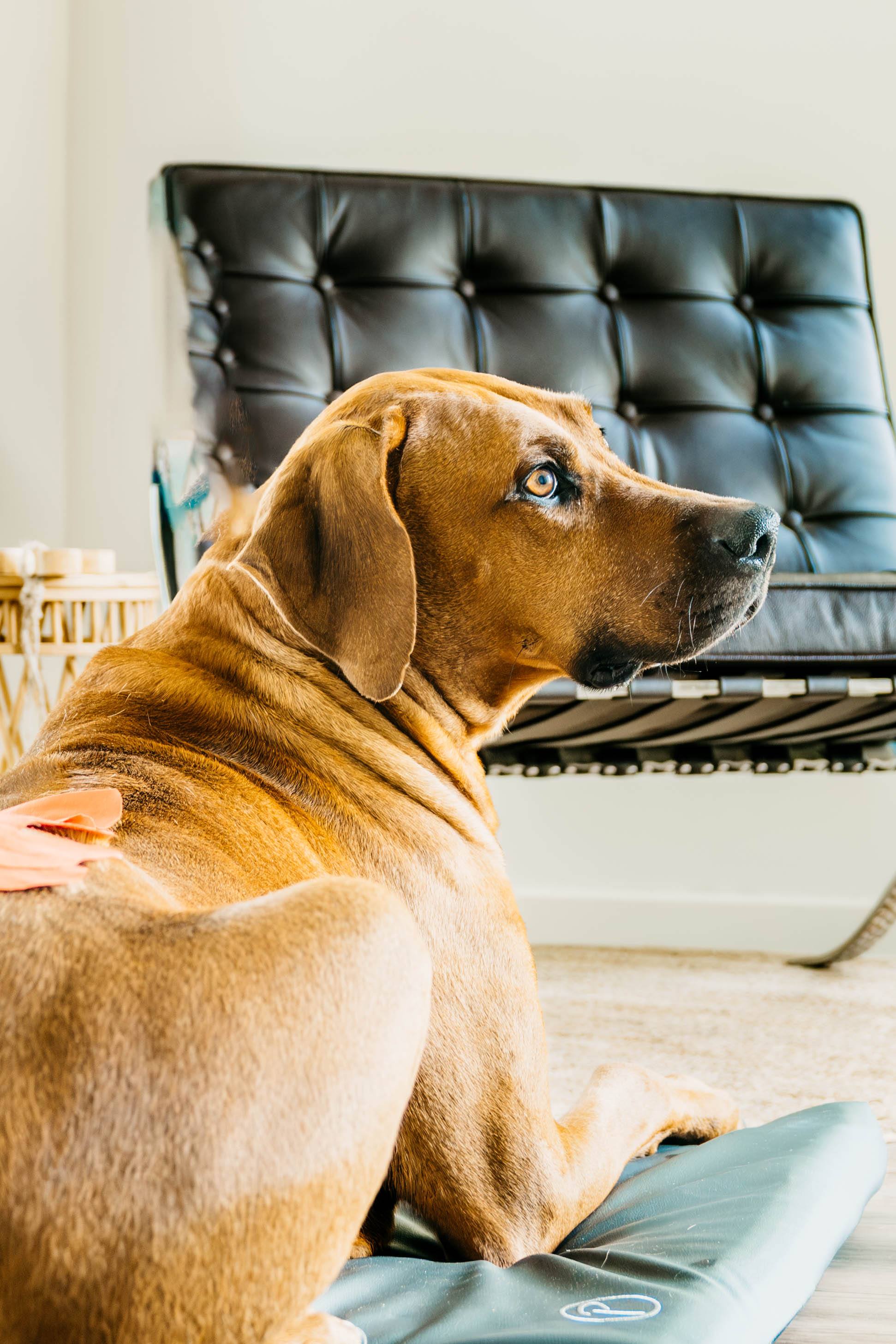 Lasertherapie — Praxisatmosphäre